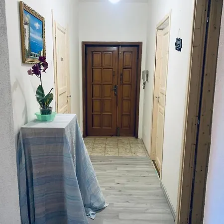 Smeralda オルビア