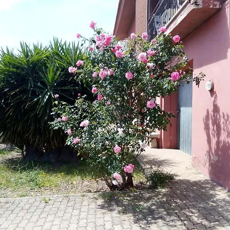 Smeralda Olbia