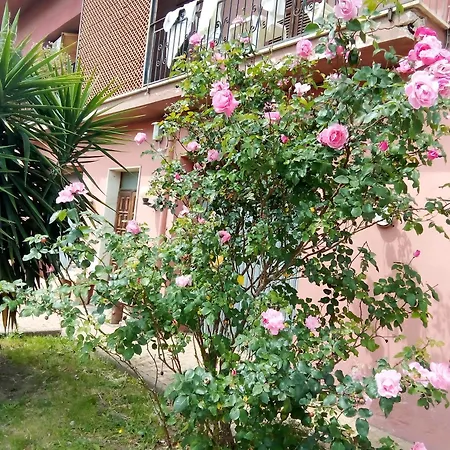 Smeralda *
